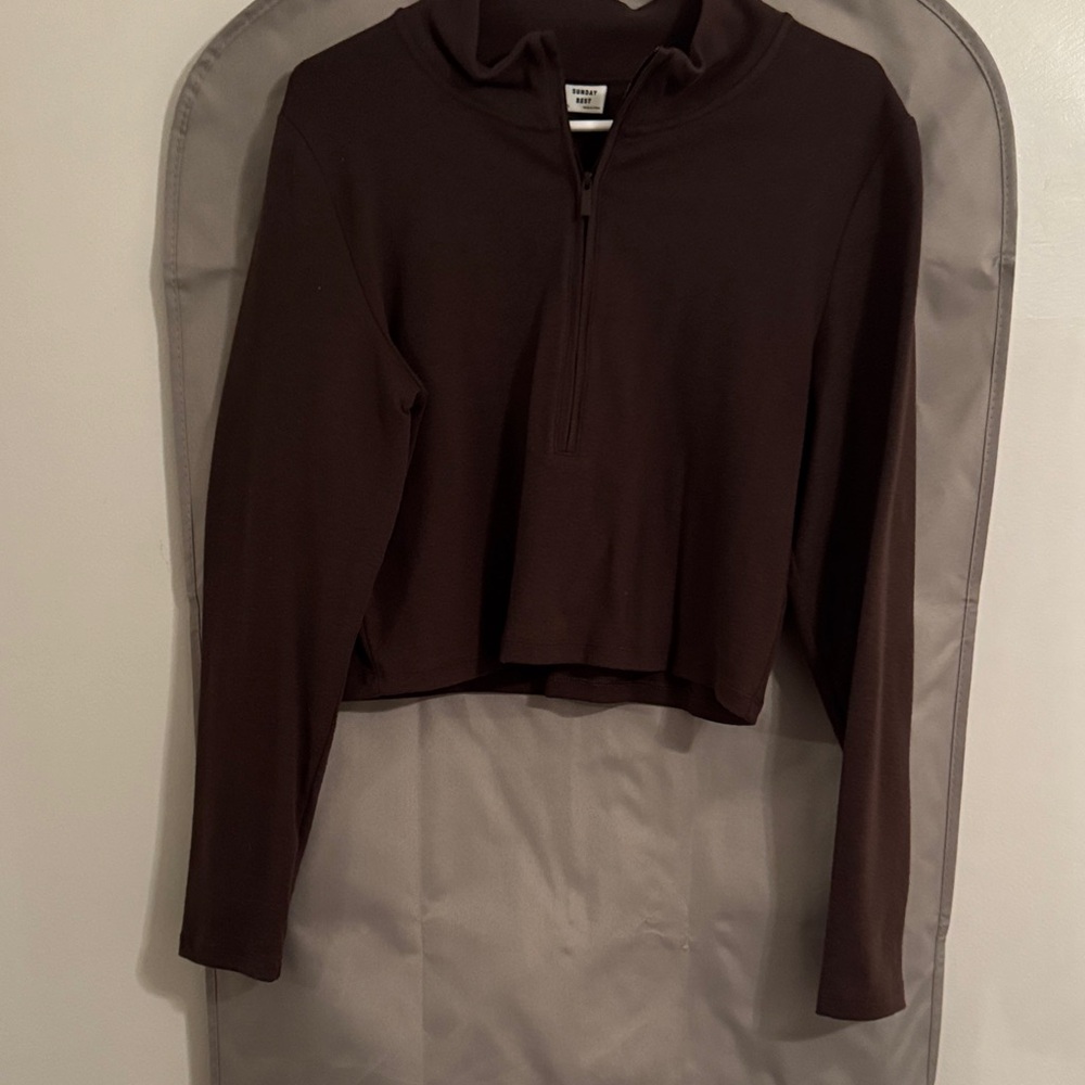 Aritzia Dark Brown Cropped Hoodie